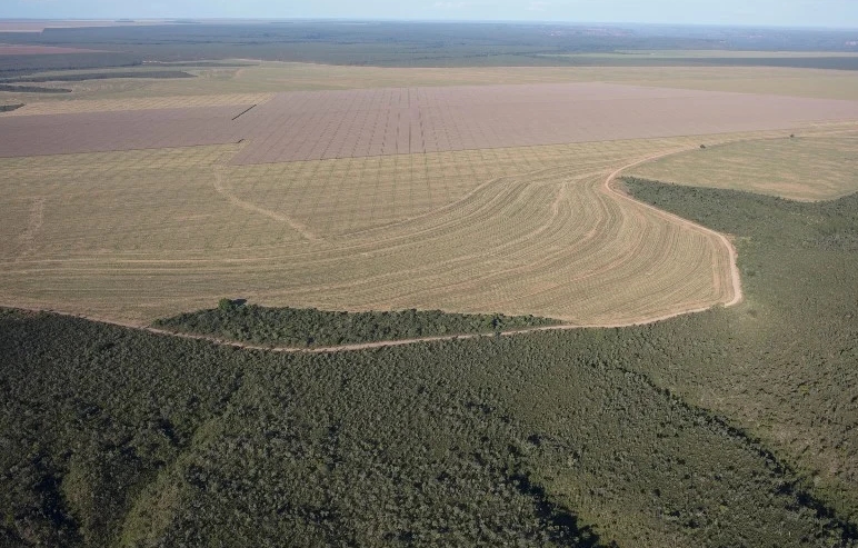 Desmatamento em Goiás cresce 36% em um ano 
