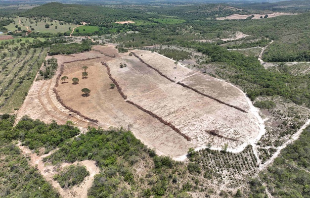 Desmatamento em reserva legal de Pirenópolis resulta em multa de R$ 68 mil 