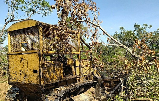 Desmatamento ilegal em Bom Jardim de Goiás resulta em multa de R$ 122 mil