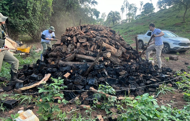 Desmatamento ilegal em Campo Alegre e Ipameri resulta em multa de R$ 109 mil