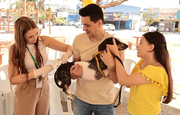 Dia D de vacinação antirrábica em Aparecida tem 94 pontos de imunização
