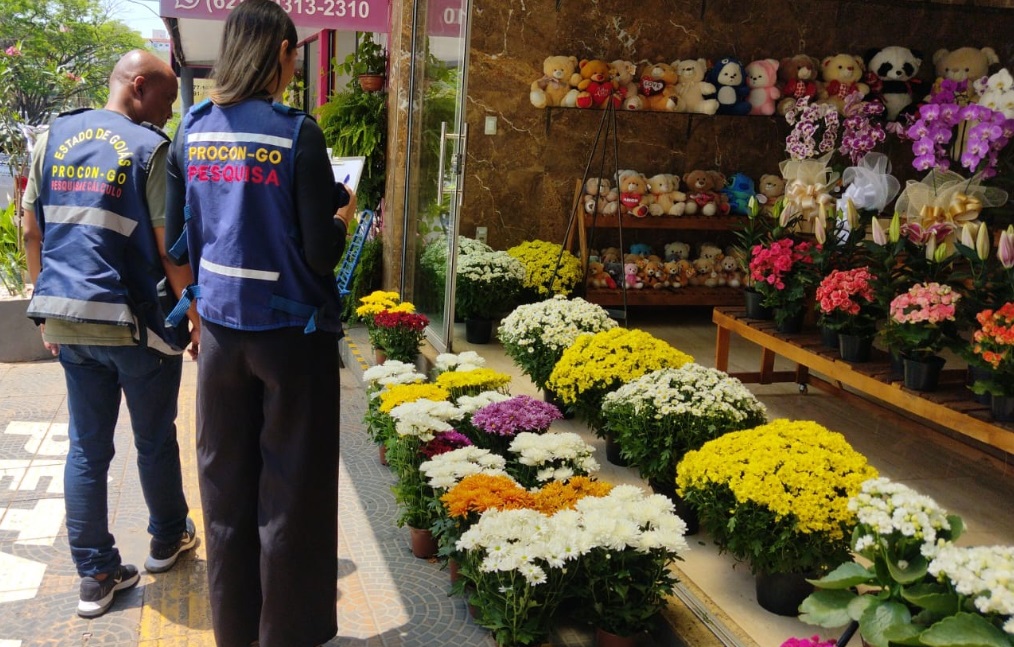 Dia de Finados: Preços das flores em Goiânia têm variações de até 590%  