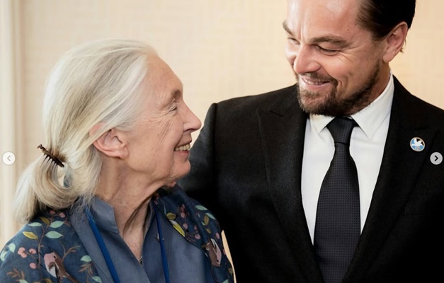 Diane Keaton: DiCaprio, Coppola, Jane Fonda e mais celebram legado da atriz