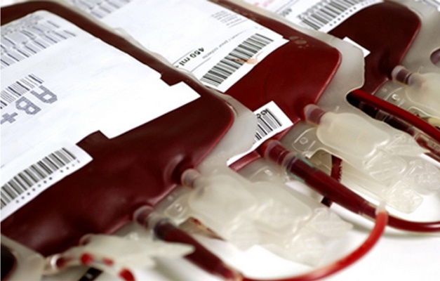 Doação de sangue: um ato de amor que pode salvar até quatro vidas