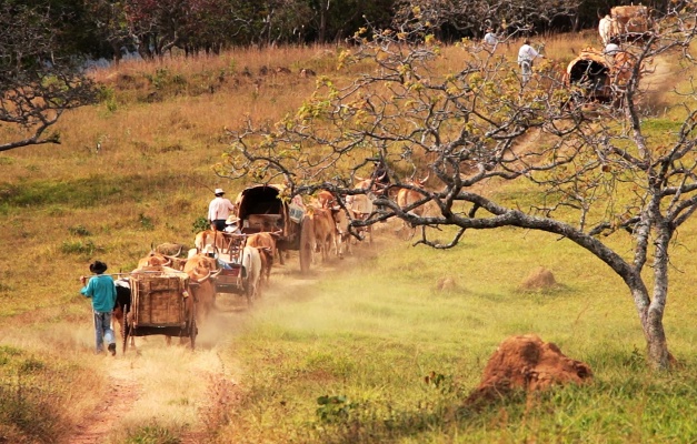 Documentário “Carreiros” retrata fé na Romaria de Trindade