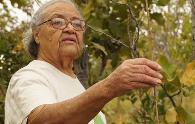 Documentário conta história de mestre goiana de plantas medicinais