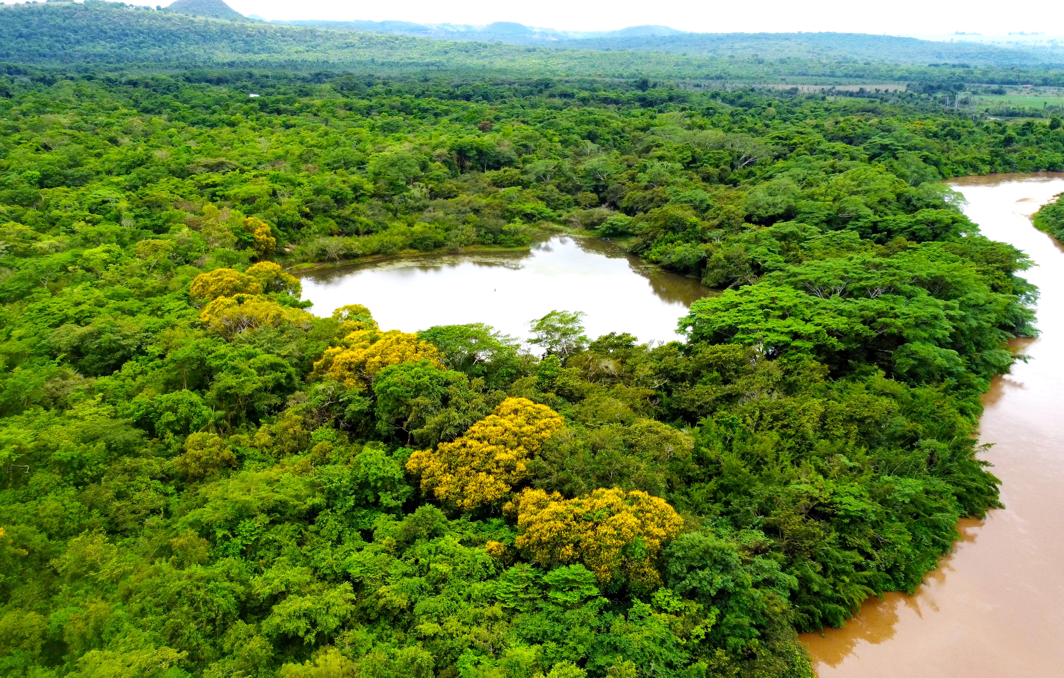Documentário goiano aborda reserva ecológica em Serranópolis