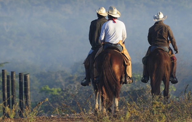 Documentário sobre a maior cavalgada do Brasil é lançado em Goiânia