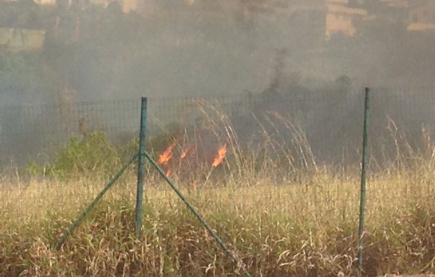 Incêndio ainda atinge vegetação perto do Paço Municipal de Goiânia