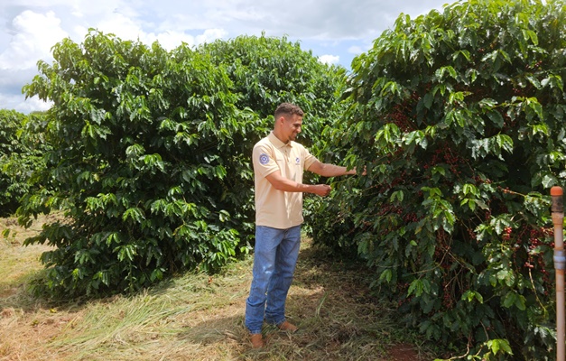 Emater Goiás promove Dia de Campo para a cafeicultura no Cerrado goiano