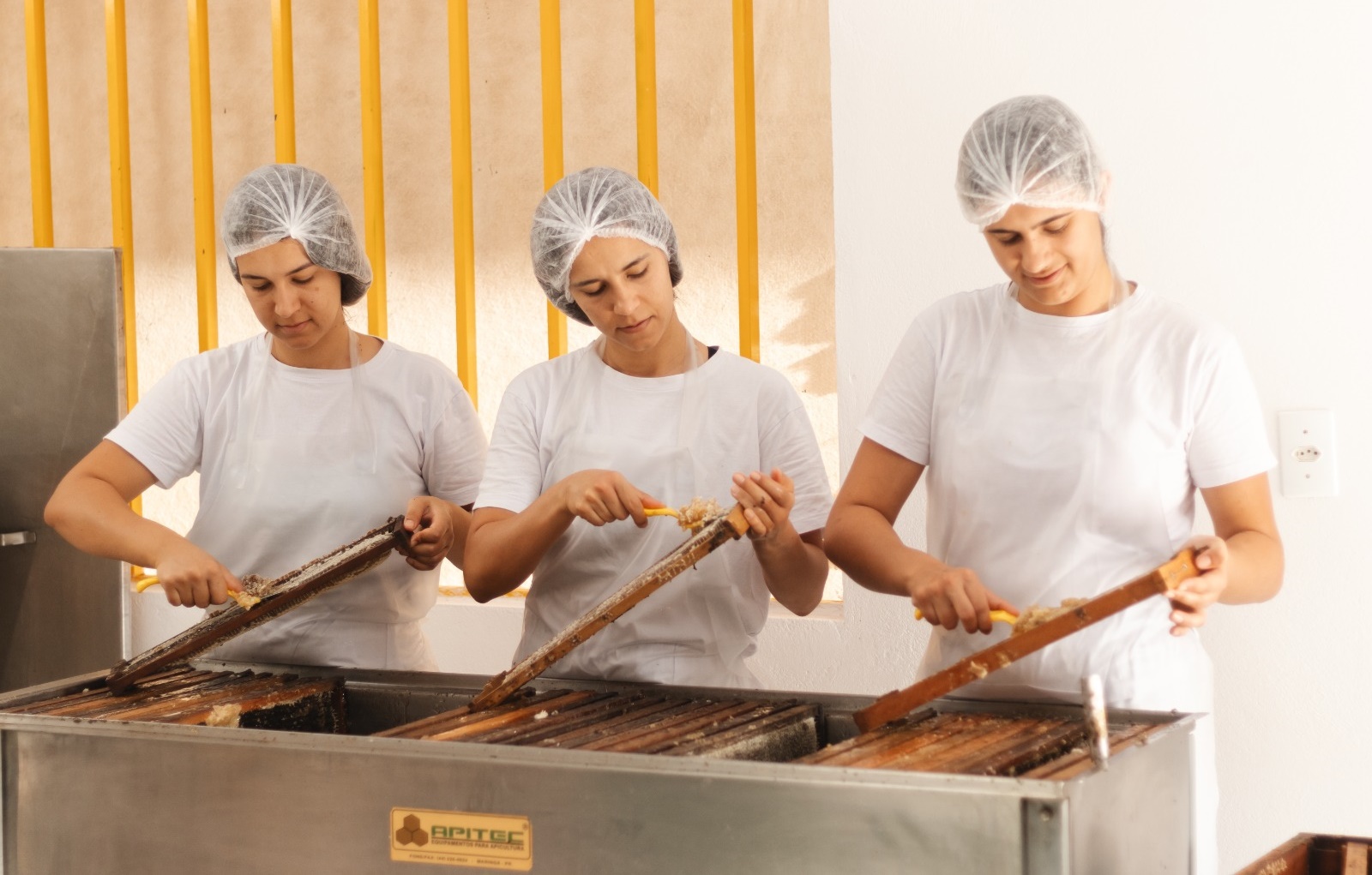 Empreender ou trabalhar em cooperativa gera maior renda em Goiás, aponta UFG
