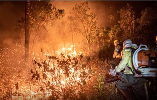 Entenda a diferença entre manejo com fogo, contrafogo e queimada