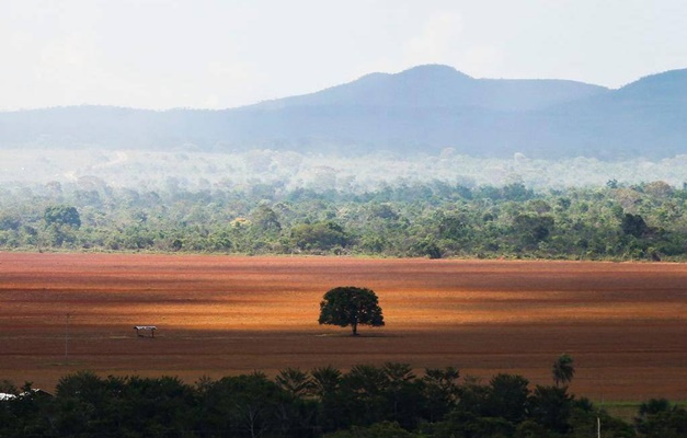 Diretor de Vale o Escrito, série documental sobre jogo do bicho