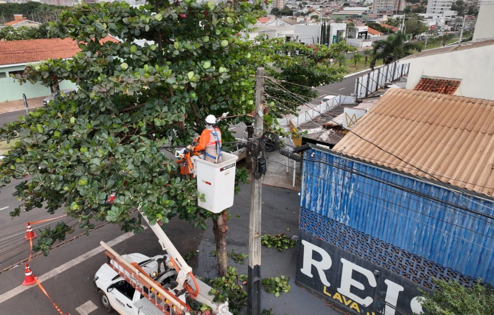 Equatorial Goiás realiza mais de 200 mil podas preventivas em 2025