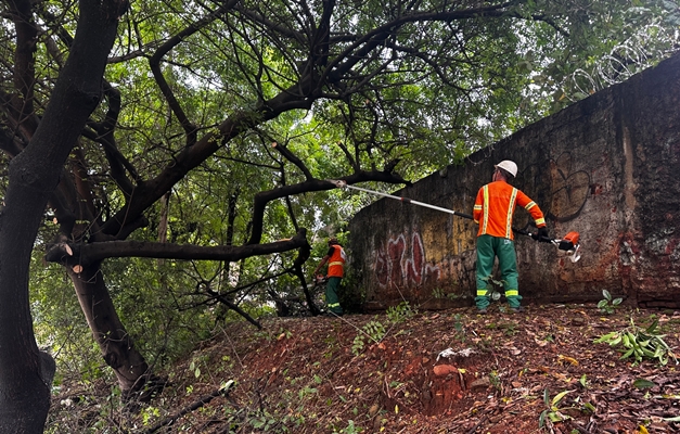 Equipes da prefeitura removem árvores que caíram durante temporal em Goiânia