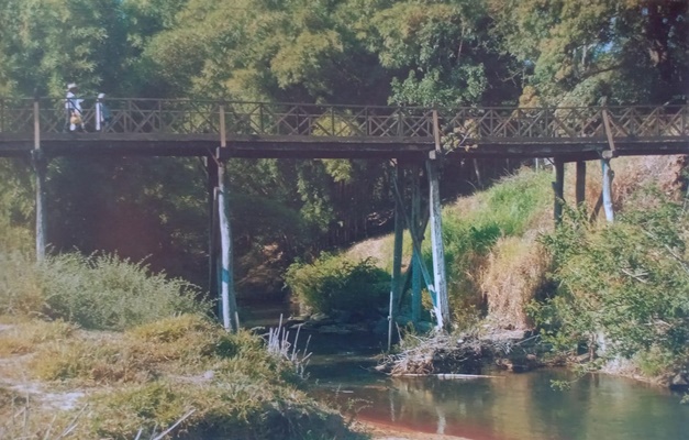 Essa ponte foi fundamental para a construção de Brasília