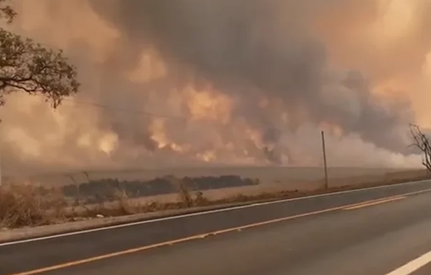 Estado de SP não tem mais focos ativos de incêndios, afirma Defesa Civil