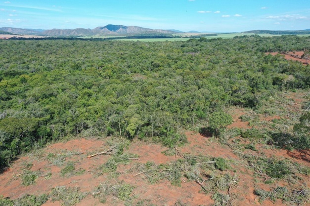 Estado lança nova plataforma de fiscalização e denúncias ambientais em Goiás