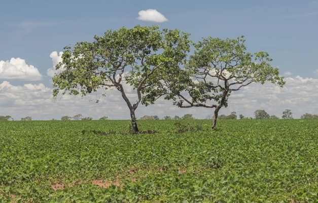 Estado promove congresso sobre gestão ambiental nos municípios goianos