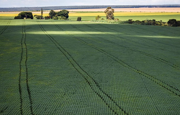 Estudo aponta desafios do seguro rural em meio a mudanças climáticas