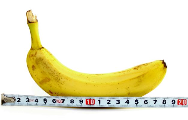 Estudo britânico revela qual o tamanho médio do pênis