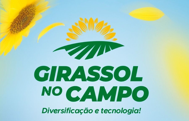 Evento da Faeg destaca o plantio de girassol para o centro goiano