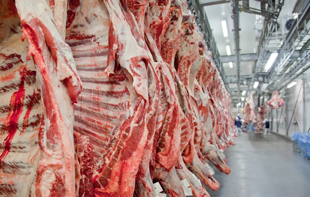 Exportação de carne bovina bate recorde em mês anterior ao tarifaço