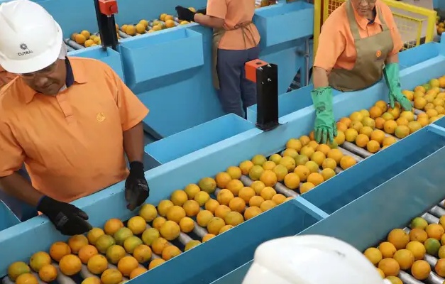 Exportação de produtos atingidos por tarifaço cai 22% em agosto