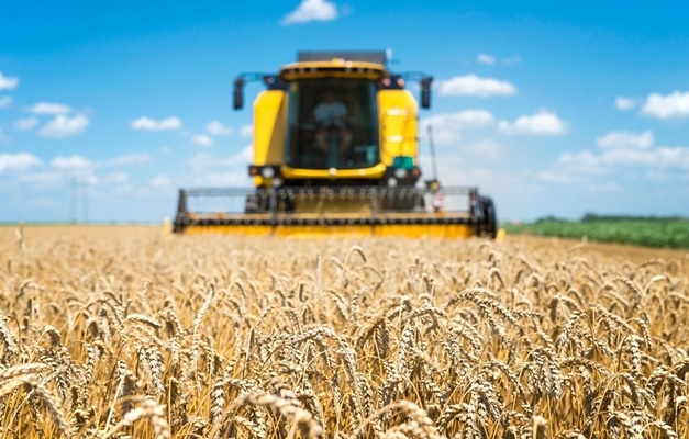 Faeg disponibiliza Relatório Técnico do Desempenho do Crédito Rural em Goiás