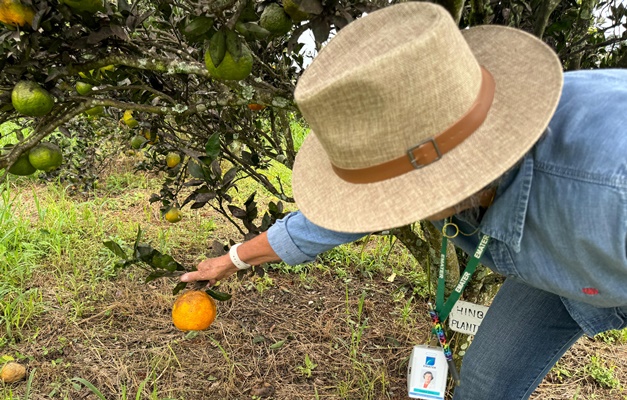 Fapeg e Emater lançam edital de pesquisa e inovação na agricultura familiar