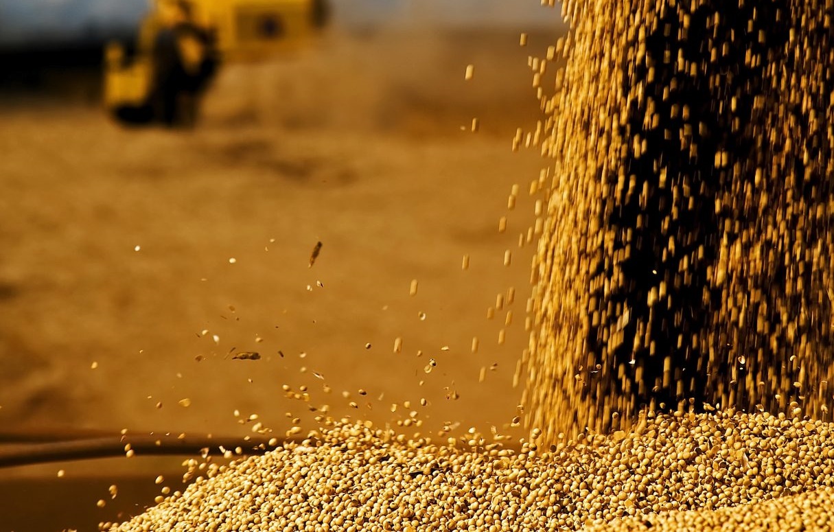 FCO Rural aprova R$ 41,9 milhões para empreendimentos agropecuários em Goiás