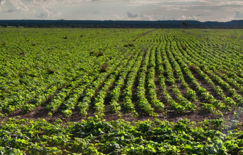 FCO Rural ultrapassa R$ 1 bilhão em financiamentos aprovados em 2025