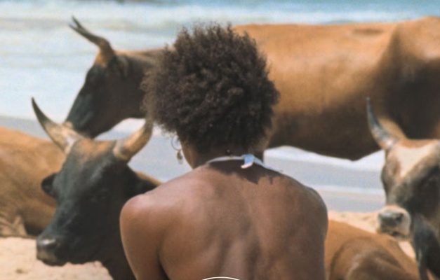 Festival de Cannes: Filme coproduzido no Brasil vence prêmio em segunda disputa mais importante
