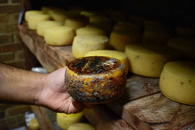 Fica em Goiás a única caverna de maturação de queijos aprovada no Brasil