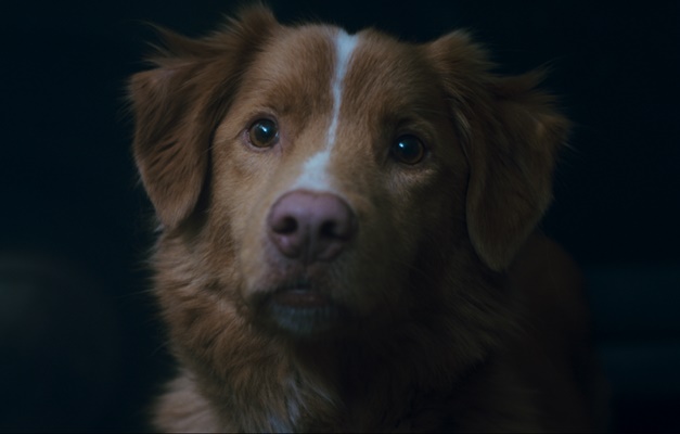 Filme ''Bom Menino'' estreia nos cinemas de Goiânia