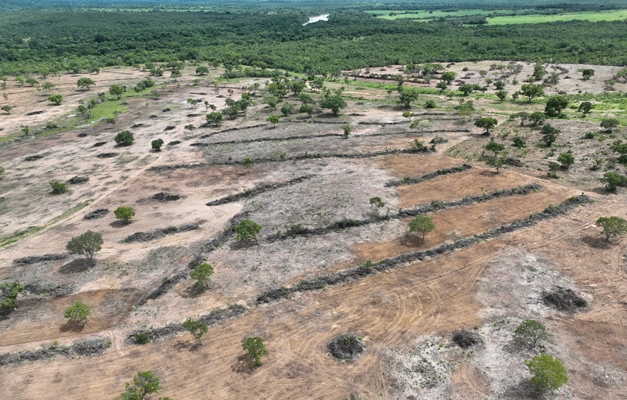 Fiscais flagram desmatamento ilegal de 132 hectares em Teresina de Goiás 