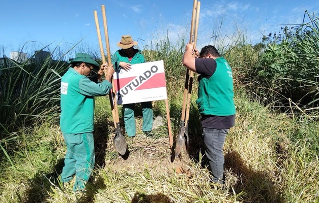 Fiscalização Ambiental reforça vistorias de lotes com mato alto em Goiânia