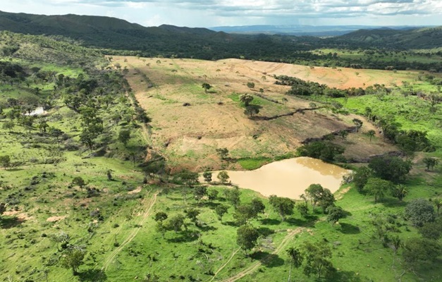 Fiscalização constata desmatamento ilegal de 135 hectares em Planaltina