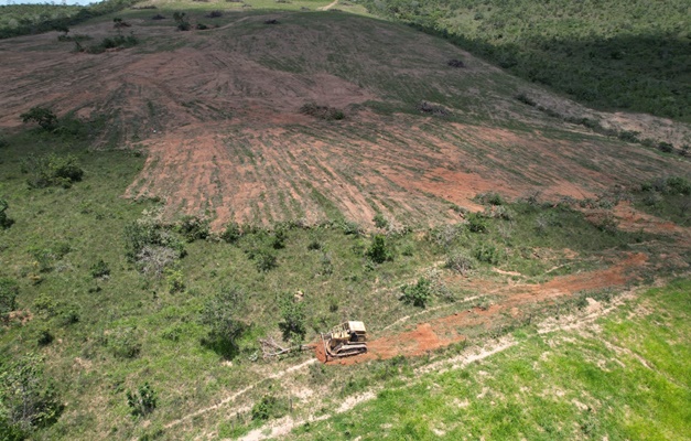 Fiscalização flagra desmatamento ilegal de 82 hectares em Abadiânia