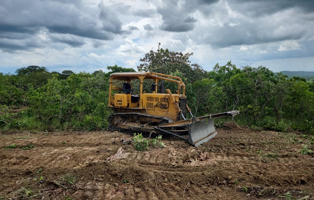 Fiscalização impede desmatamento de 73 hectares em Jaraguá