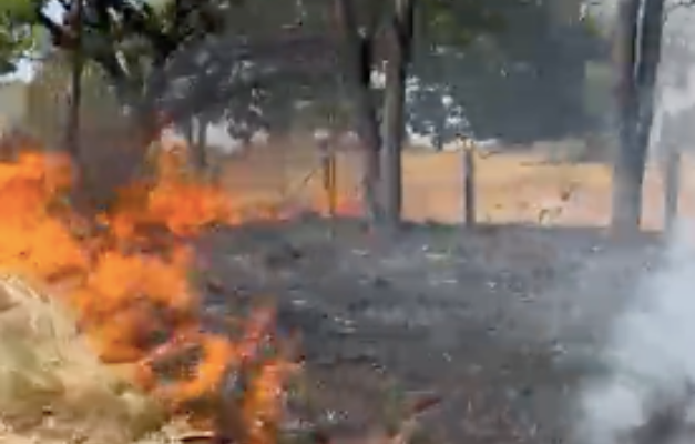 Fogo é registrado às margens da GO-164 entre Faina e cidade de Goiás