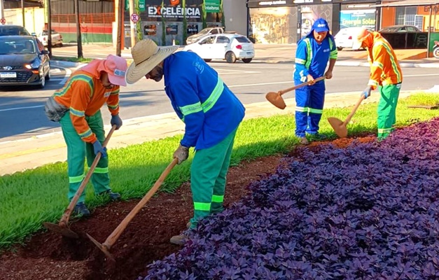 Força-tarefa da Comurg realiza poda ornamental na Avenida Goiás em Goiânia