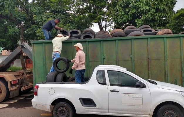 Força-tarefa já recolheu 15 mil pneus descartados irregularmente em Goiânia