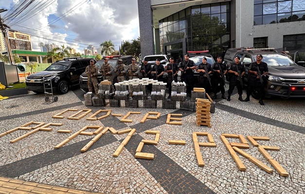 Forças de segurança apreendem meia tonelada de maconha em Guapó