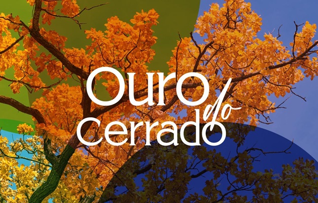 Fórum Trabalhista de Goiânia recebe a exposição ''Ouro do Cerrado''