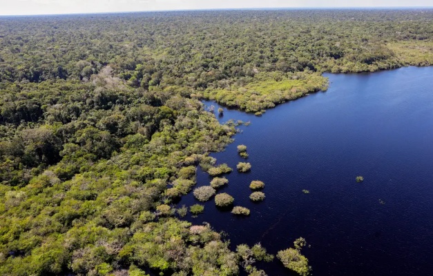Fundo Amazônia bate recorde ao destinar mais de R$ 1 bilhão em 2025