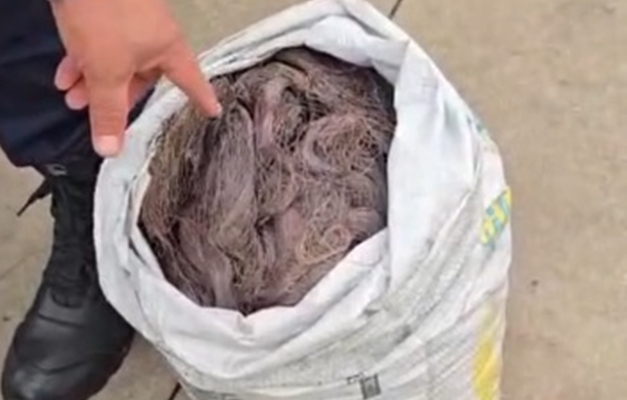 GCM de Aparecida de Goiânia recaptura foragido da Justiça com cobre furtado