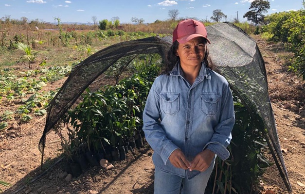 Goianas são mais de 80% em programas voltados para agricultura familiar
