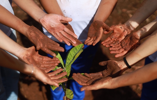 Goiânia celebra o mês do Meio Ambiente com programação especial 