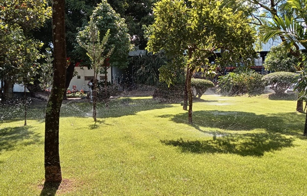 Goiânia deve ampliar irrigação automática em áreas verdes da cidade